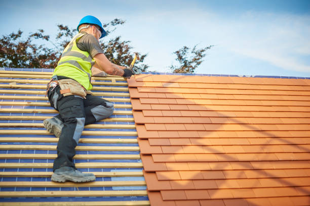 Best Roof Maintenance and Cleaning  in Summit, IL